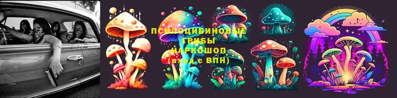 кракен онион  Городовиковск  Галлюциногенные грибы Magic Shrooms 